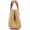 imageSteve Madden Flores Raffia Mini ToteCognac