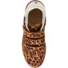 image:imageSteve Madden Womens MomentumLeopard
