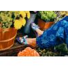 image:imageSteve Madden Womens Hadyn SandalBlue Multi Scarf