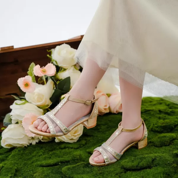 imageGirls Sandals Low Heel Dress Pump Open Toe T Strap Rhinestone Sandals Wedding Party Prom Shoes Little Big KidsTstrap Champagne