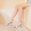 image:imageGirls High Heels Girls Dress Shoes Flower Girl Wedding Party Pageant Prom Formal Dress Sandals Open Toe Ankle Strap Platform Little Big Kids High Heels Chunky PumpsSilver Glitter