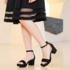 image:imageGirls High Heels Girls Dress Shoes Flower Girl Wedding Party Pageant Prom Formal Dress Sandals Open Toe Ankle Strap Platform Little Big Kids High Heels Chunky PumpsBlack Suede