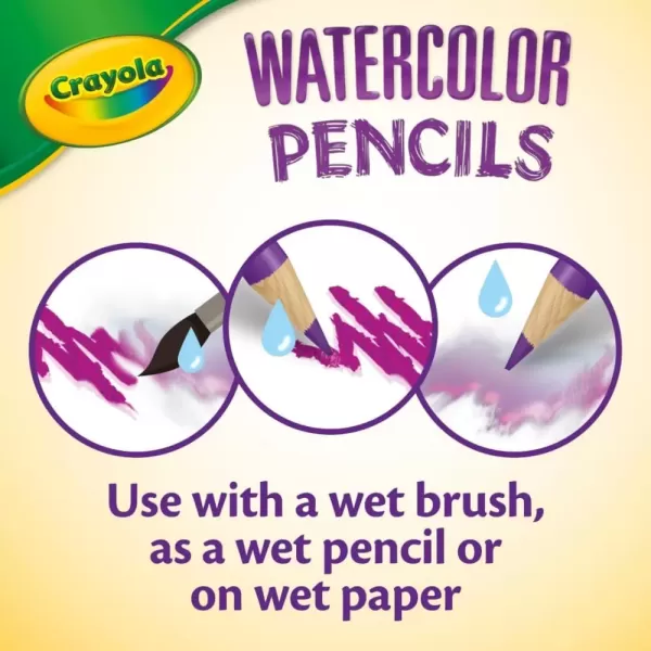 imageCrayola Classpack Watercolor Pencils 240ct 20 each of 12 Colors Great for Classroom Educational Art ToolsWatercolor