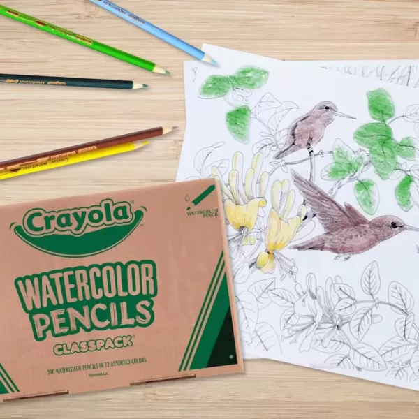 imageCrayola Classpack Watercolor Pencils 240ct 20 each of 12 Colors Great for Classroom Educational Art ToolsWatercolor