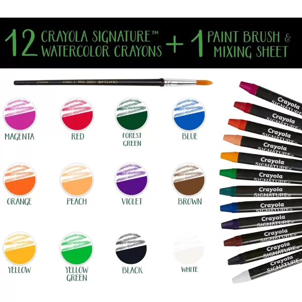 imageCrayola Signature Premium Watercolor Crayon Sticks ampamp Paintbrush 12 Count Gift1 Count Pack of 1