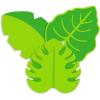 Green Leaf