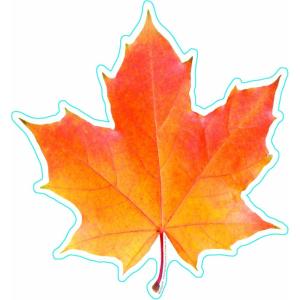 imageEureka Crayola Crayons Paper CutOut Classroom Decorations for Teachers 36 PiecesFall Leaf