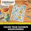 imageCrayola Tropical Garden Adult Coloring Book 40pgs Adult Coloring Pages Stress Relief Activity Gift for Teens ampamp Adults 9Wildflowers