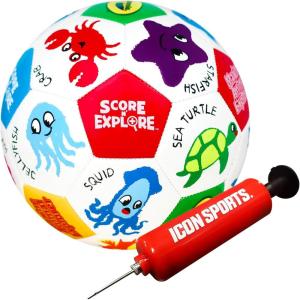 image:imageCrayola Official Soccer Ball  Unisex Kids  Multiplication Size 5Marine