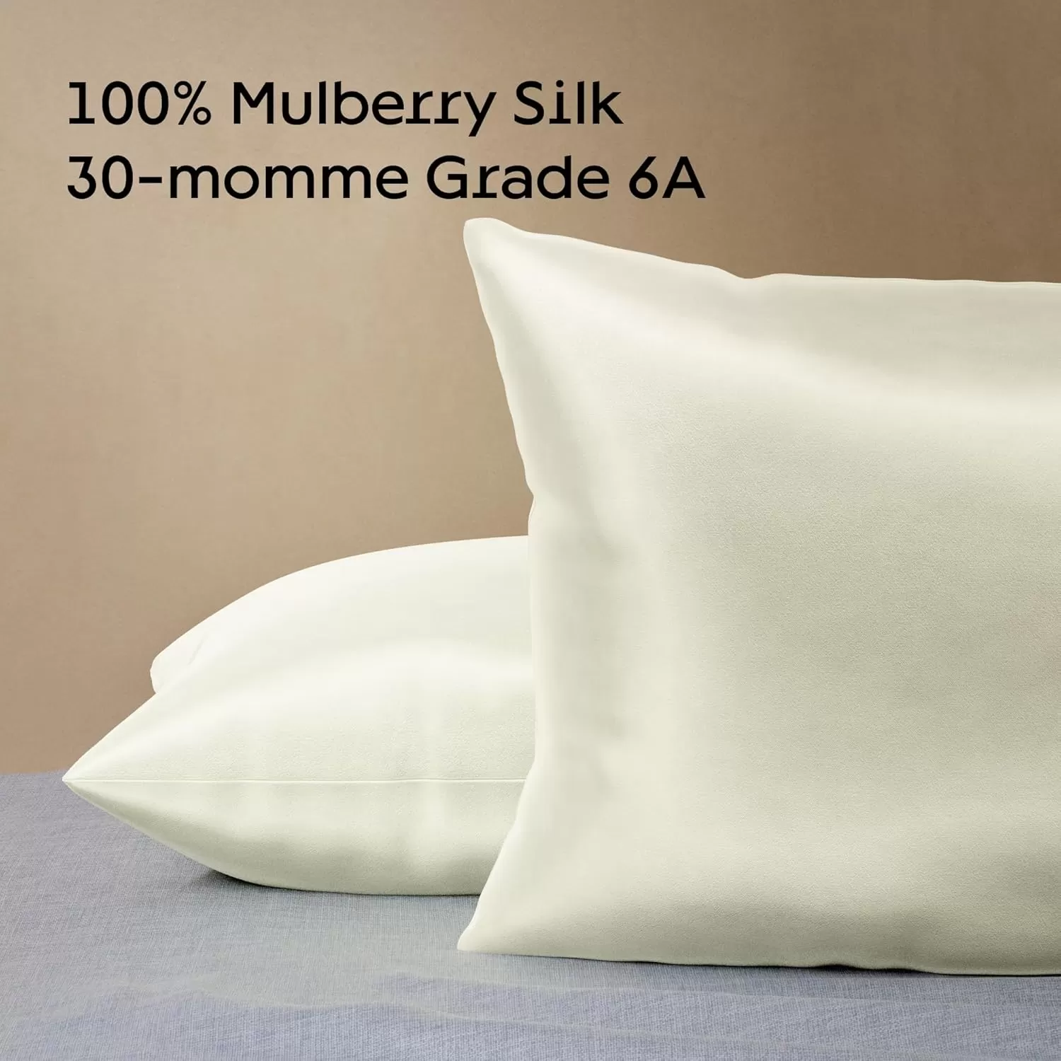 imageNiagara 100 Mulberry Silk Pillowcase  30 Momme Silk Pillow case for Hair and Skin  Grade 6A Silk Pillow Cases with Zipper  Soft ampamp Cooling Black Silk Pillowcase Queen Size 20quotx30quotChampagne