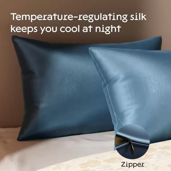 imageNiagara 100 Mulberry Silk Pillowcase  30 Momme Silk Pillow case for Hair and Skin  Grade 6A Silk Pillow Cases with Zipper  Soft ampamp Cooling Black Silk Pillowcase Queen Size 20quotx30quotNavy Blue