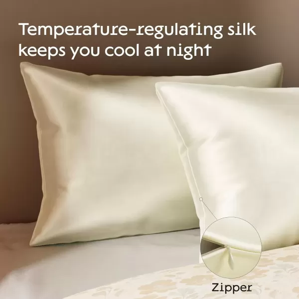 imageNiagara 100 Mulberry Silk Pillowcase  30 Momme Silk Pillow case for Hair and Skin  Grade 6A Silk Pillow Cases with Zipper  Soft ampamp Cooling Black Silk Pillowcase Queen Size 20quotx30quotChampagne