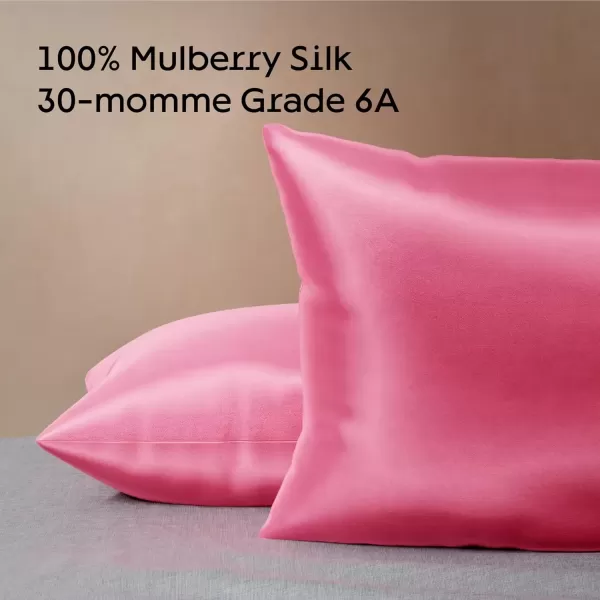 imageNiagara 100 Mulberry Silk Pillowcase  30 Momme Silk Pillow case for Hair and Skin  Grade 6A Silk Pillow Cases with Zipper  Soft ampamp Cooling Black Silk Pillowcase Queen Size 20quotx30quotBright Pink