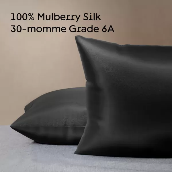 imageNiagara 100 Mulberry Silk Pillowcase  30 Momme Silk Pillow case for Hair and Skin  Grade 6A Silk Pillow Cases with Zipper  Soft ampamp Cooling Black Silk Pillowcase Queen Size 20quotx30quotBlack