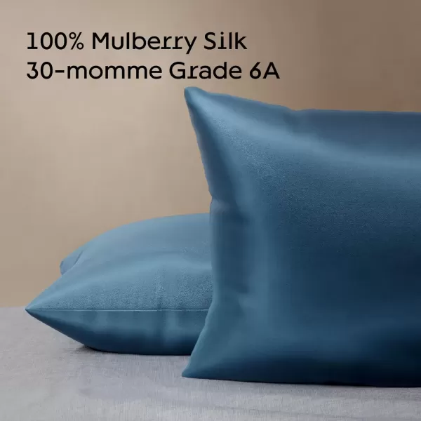 imageNiagara 100 Mulberry Silk Pillowcase  30 Momme Silk Pillow case for Hair and Skin  Grade 6A Silk Pillow Cases with Zipper  Soft ampamp Cooling Black Silk Pillowcase Queen Size 20quotx30quotNavy Blue