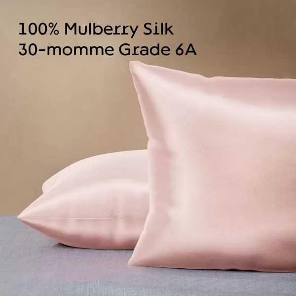 imageNiagara 100 Mulberry Silk Pillowcase  30 Momme Silk Pillow case for Hair and Skin  Grade 6A Silk Pillow Cases with Zipper  Soft ampamp Cooling Black Silk Pillowcase Queen Size 20quotx30quotPink