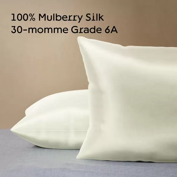 imageNiagara 100 Mulberry Silk Pillowcase  30 Momme Silk Pillow case for Hair and Skin  Grade 6A Silk Pillow Cases with Zipper  Soft ampamp Cooling Black Silk Pillowcase Queen Size 20quotx30quotChampagne