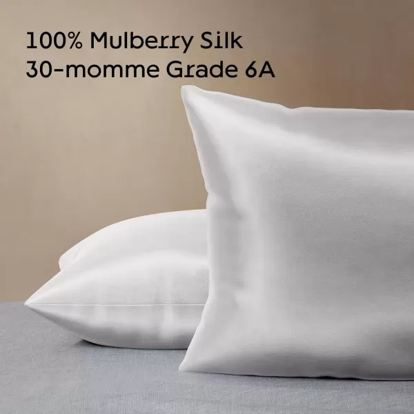 imageNiagara 100 Mulberry Silk Pillowcase  30 Momme Silk Pillow case for Hair and Skin  Grade 6A Silk Pillow Cases with Zipper  Soft ampamp Cooling White Silk Pillowcase Queen Size 20quotx30quotGrey