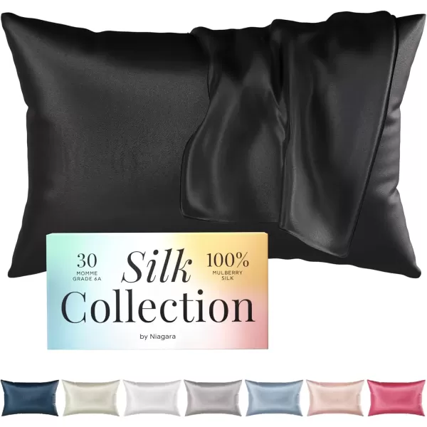 imageNiagara 100 Mulberry Silk Pillowcase  30 Momme Silk Pillow case for Hair and Skin  Grade 6A Silk Pillow Cases with Zipper  Soft ampamp Cooling White Silk Pillowcase Queen Size 20quotx30quotBlack
