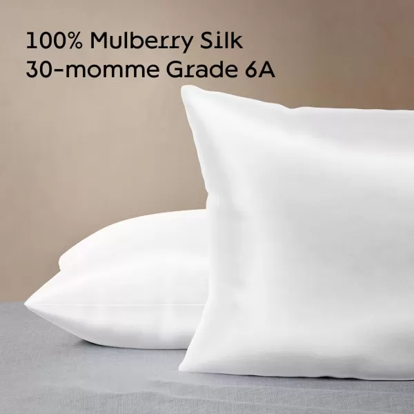 imageNiagara 100 Mulberry Silk Pillowcase  30 Momme Silk Pillow case for Hair and Skin  Grade 6A Silk Pillow Cases with Zipper  Soft ampamp Cooling White Silk Pillowcase Queen Size 20quotx30quotWhite