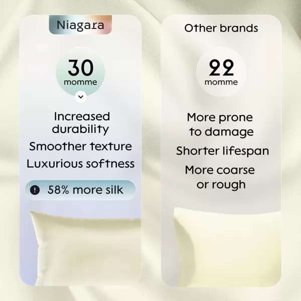 imageNiagara 100 Mulberry Silk Pillowcase  30 Momme Silk Pillow case for Hair and Skin  Grade 6A Silk Pillow Cases with Zipper  Soft ampamp Cooling White Silk Pillowcase Queen Size 20quotx30quotChampagne