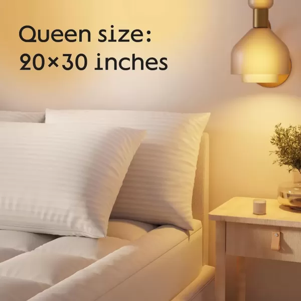 imageSet of 12 Pillow Protectors with Zipper Queen Size  100 Resistant to Stains Dust ampamp Dirt  Washable Covers for Increased Pillow LifespanQueen