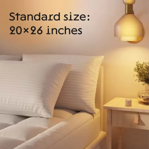 imageSet of 12 Pillow Protectors with Zipper Queen Size  100 Resistant to Stains Dust ampamp Dirt  Washable Covers for Increased Pillow LifespanStandard