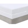 imageNiagara Queen Mattress Protector Waterproof Premium Mattress Cover Jersey 60x80 Non Noisy Breathable Ultra Plush Absorbent Extra Deep Fits 820 Inches Deep MattressPolyester