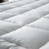 imageNiagara Microfiber Queen Mattress Topper  Pillow Top Mattress Cover Quilted Fitted Cooling Topper for Back Pain Deep Pocket Fits 20 Inches 60x80 InchesQueen