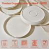 imageSweese Porcelain Dinner Plates Set of 6 105 Inch Dish Set  Dishwasher Microwave Oven Safe Scratch Resistant Kitchen Serving Dishes  White105 Inch for 6
