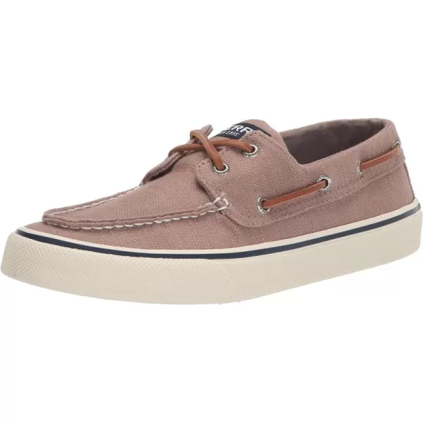 Taupe Baja