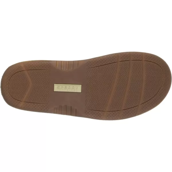 Sperry Men's Baitfish Thong Sandal