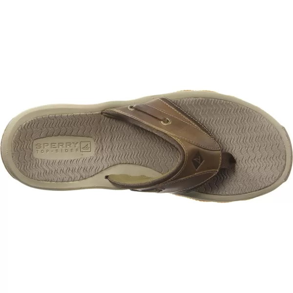 Sperry Men's Outer Banks Thong Sandals
