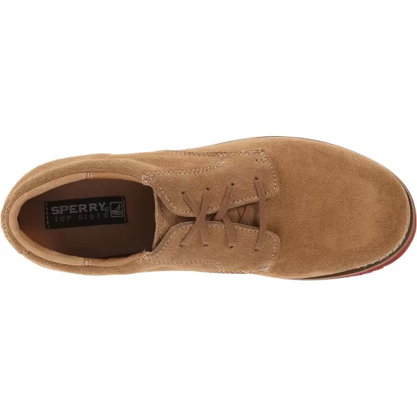 Sperry Men's Striper II Slip On Sneaker