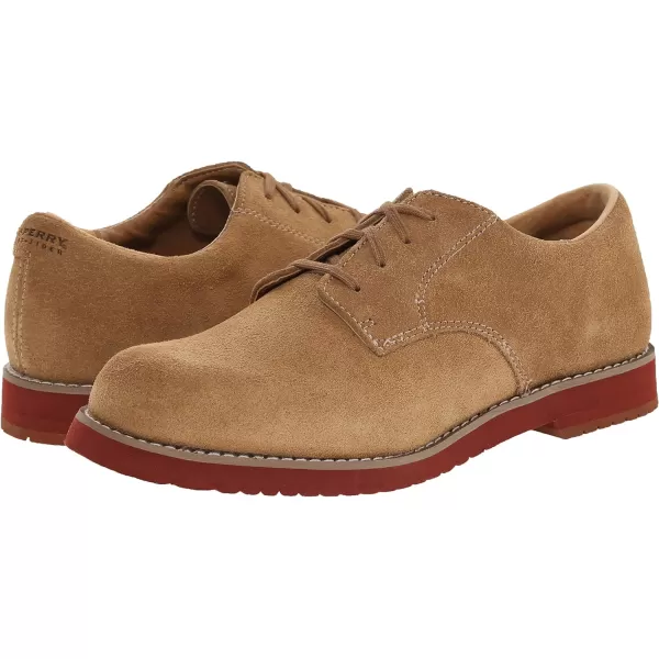Sperry Men's Striper II Slip On Sneaker