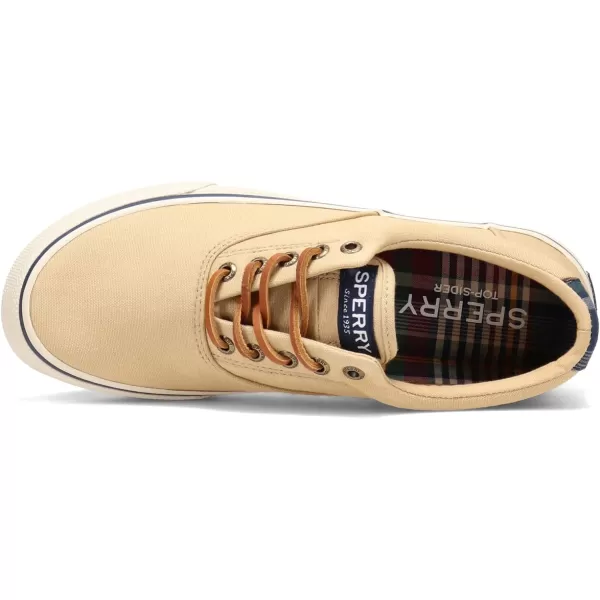 Sperry Men's Striper Ii CVO Nautical Sneaker