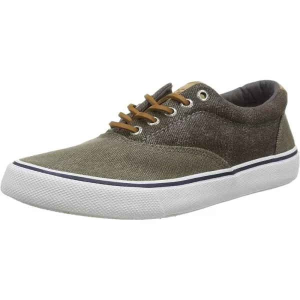 Olive Tonal