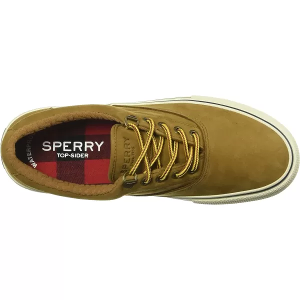 Sperry Top-Sider Striper Storm CVO Canvas Duck Sneaker Men's