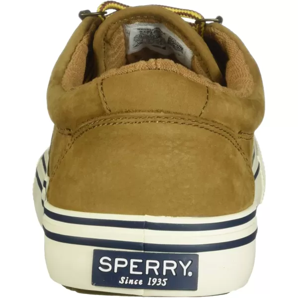 Sperry Top-Sider Striper Storm CVO Canvas Duck Sneaker Men's