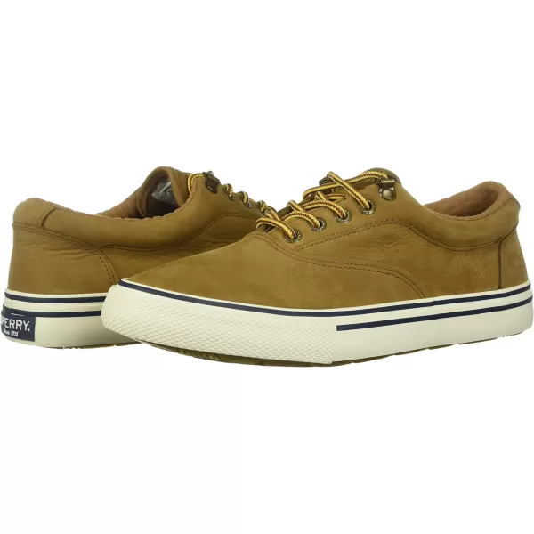 Sperry Top-Sider Striper Storm CVO Canvas Duck Sneaker Men's