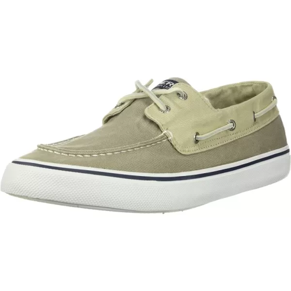 Sw Oyster/Green