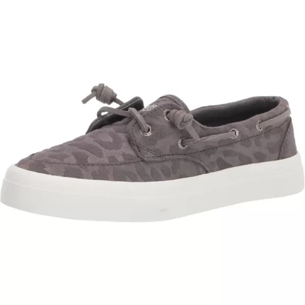 Grey Cheetah