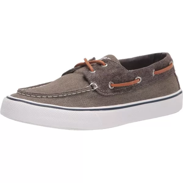 Olive Canvas