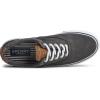 imageSperry Mens Striper Ii CvoSw Black