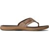 imageSperry Mens Baitfish Thong SandalsBrown