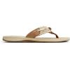 imageSperry womens ParrotfishFlipFlopBrown