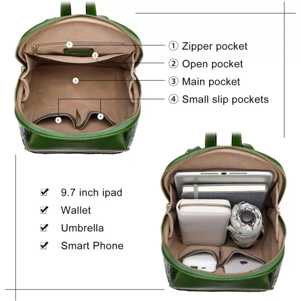 COOLCY Small Leather Backpack Purse for women Crocodile Designer Fashion Bag 