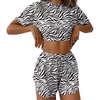 Zebra Pattern