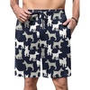 Navy Dogs