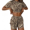 Brown Leopard